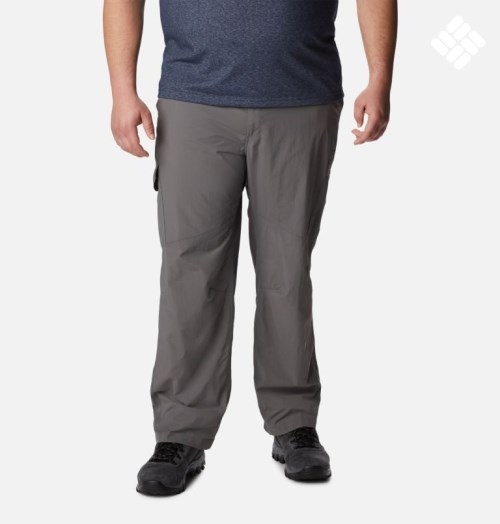 Men's Columbia Silver Ridge Cargo Pants Dark Grey | Plus Size CA-EA14C